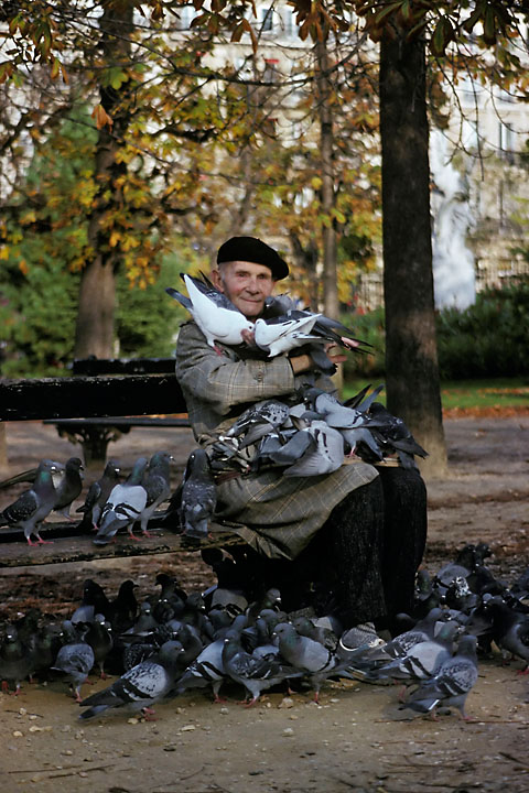 Old man feeding the birds - France/Île de France - Paris - December 1989 - Animals