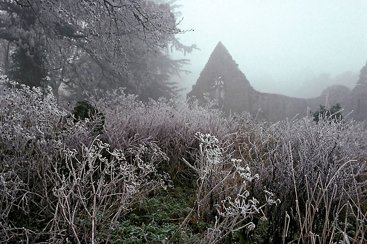 Misty view of a priory - Ireland - Portumna - December 1989 - Architecture