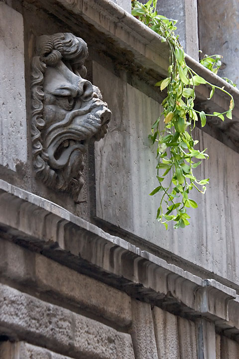 Grimacing lion sculpture (23 rue Juiverie, Hôtel Dugas) - France/Lyonnais - Lyon - December 2006 - Architecture
