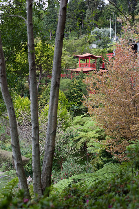 Tropical garden's japanese pavilion - Portugal/Madeira - Monte - April 2009 - EF 50 mm f/1.4