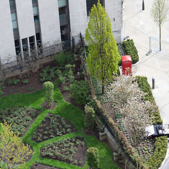 Jardin et cabine téléphonique rouge - GB/Angleterre - London - avril 2012 - Végétation