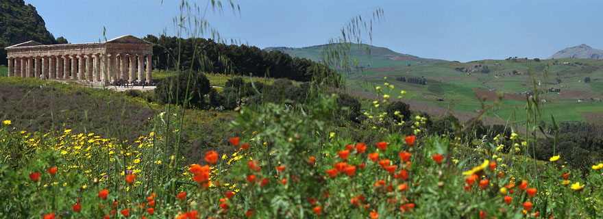 Segesta Temple - Italy/Sicily - Segeste - April 2004 - Vegetation